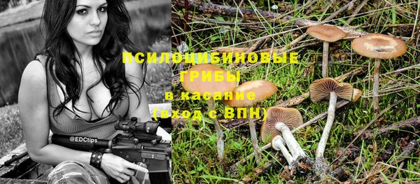альфа пвп Новокубанск