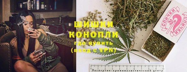 таблы Новозыбков