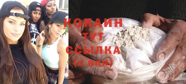 таблы Новозыбков