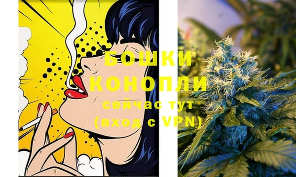 мескалин Новодвинск